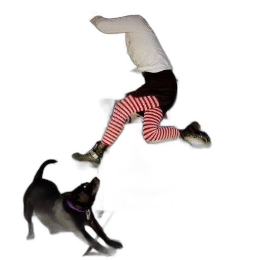 animal, creature, person, striped transparent PNG cut-out