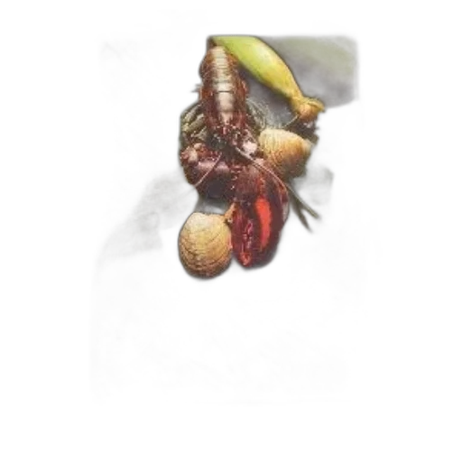 food, animal, hair, creature transparent PNG cut-out