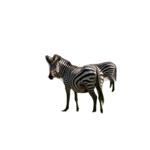 animal, creature, furniture, jewelry transparent PNG cut-out