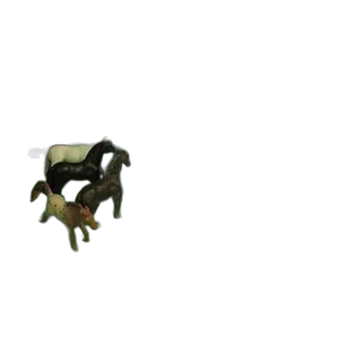 animal, furniture, creature, weapon transparent PNG cut-out
