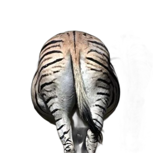 animal, staff, creature, mask transparent PNG cut-out