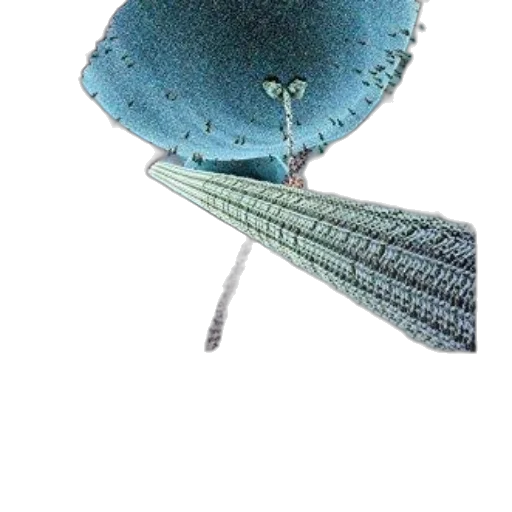 umbrella, hat, crown, staff transparent PNG cut-out