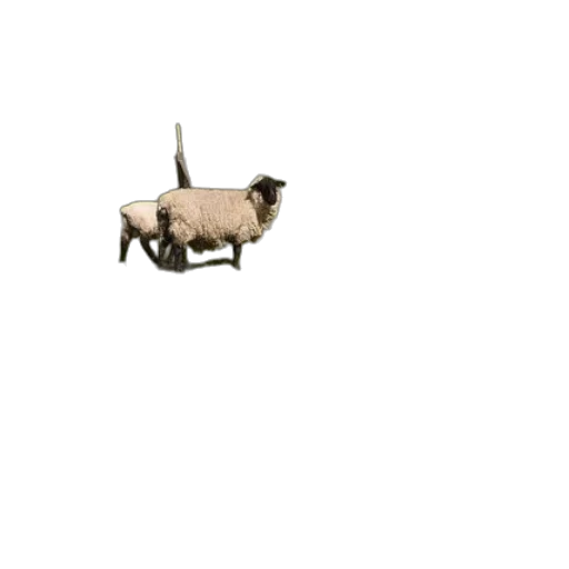 animal, robot, creature, car transparent PNG cut-out