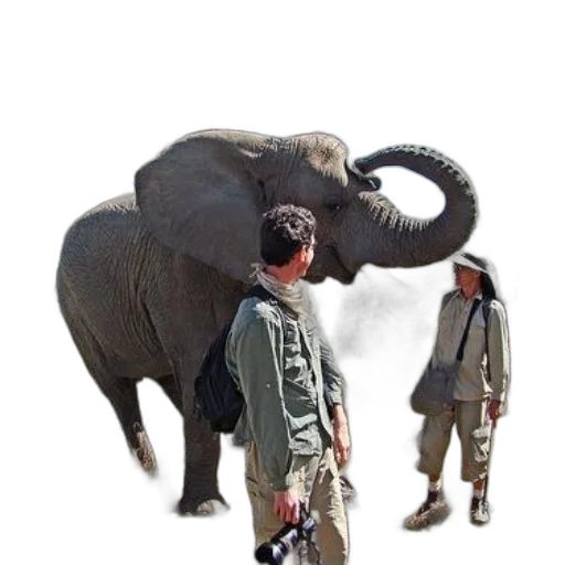 animal, creature, weapon, staff transparent PNG cut-out