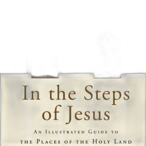 steps, jesus, illustrated, guide transparent PNG cut-out