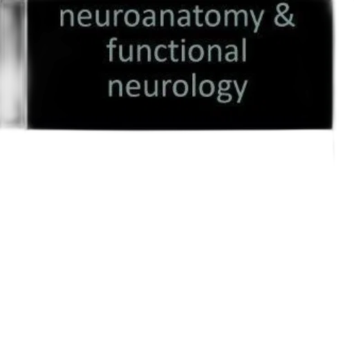 image, shows, title, neuroanatomy transparent PNG cut-out