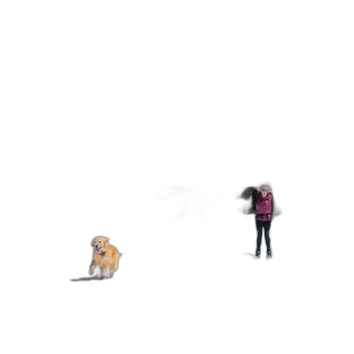 animal, creature, umbrella, robot transparent PNG cut-out