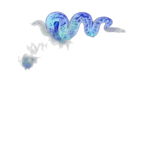 jewelry, bottle, weapon, hair transparent PNG cut-out