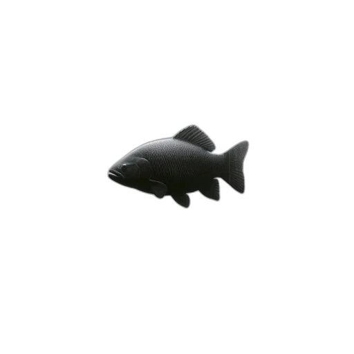animal, creature, weapon, hat transparent PNG cut-out