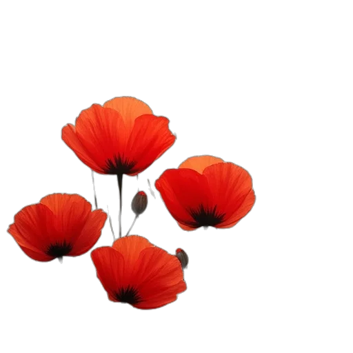 flower, crown, weapon, hat transparent PNG cut-out