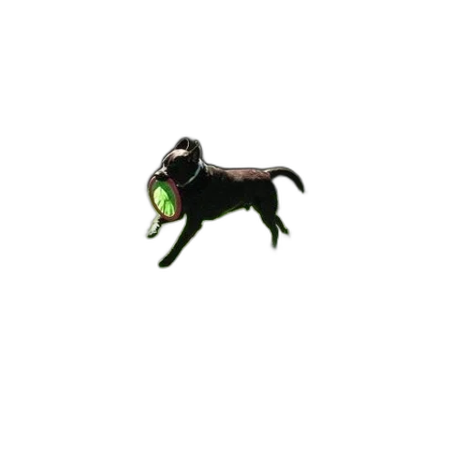 animal, creature, dragon, staff transparent PNG cut-out