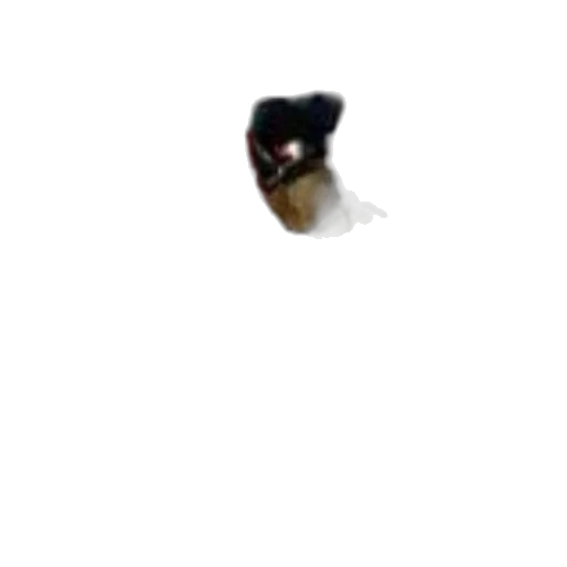mask, animal, face, hat transparent PNG cut-out