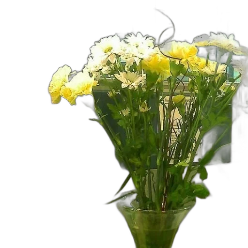 flower, crown, 3d render, photorealistic transparent PNG cut-out