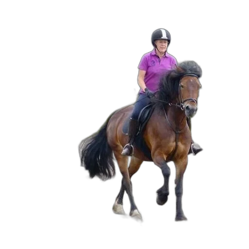 animal, photorealistic, woman, purple transparent PNG cut-out