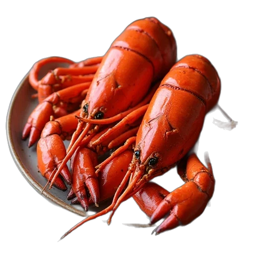 food, animal, creature, crown transparent PNG cut-out