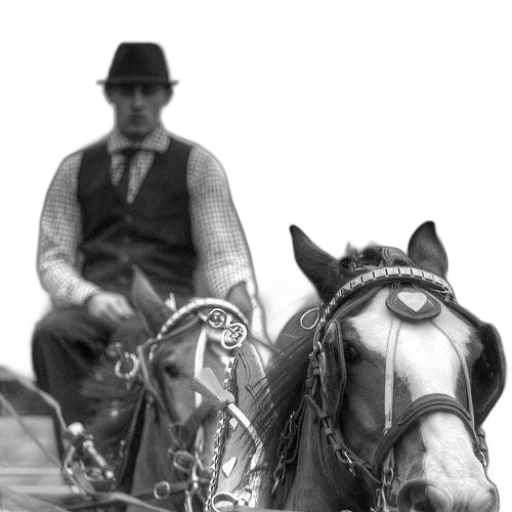 staff, hat, animal, car transparent PNG cut-out