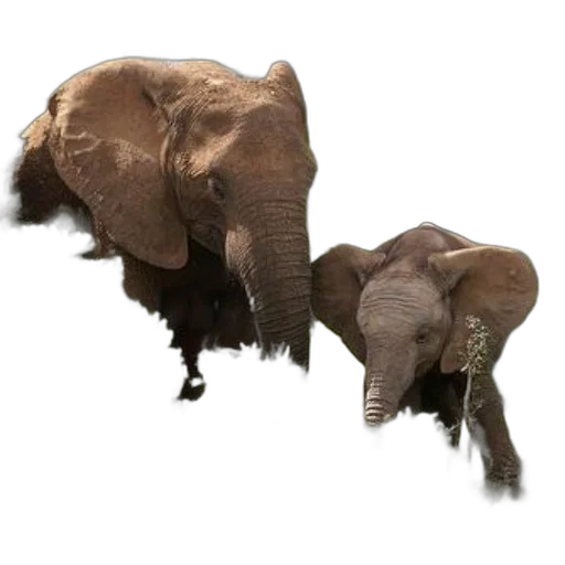 animal, creature, staff, weapon transparent PNG cut-out