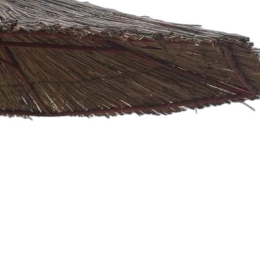 umbrella, staff, hair, hat transparent PNG cut-out