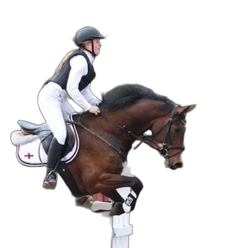 staff, photorealistic, rider, white transparent PNG cut-out