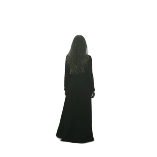 dress, jacket, staff, hair transparent PNG cut-out