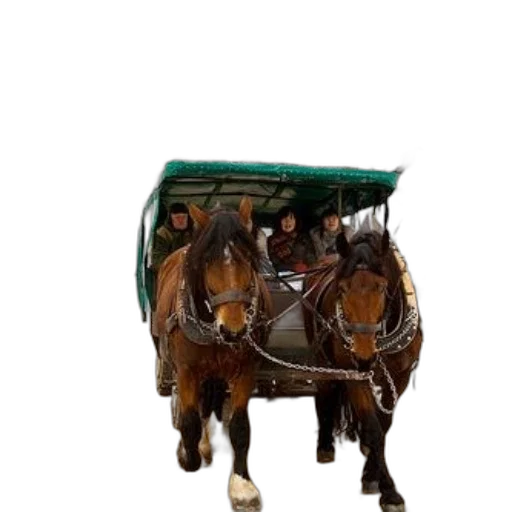car, furniture, animal, photorealistic transparent PNG cut-out