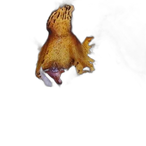 dragon, creature, animal, staff transparent PNG cut-out