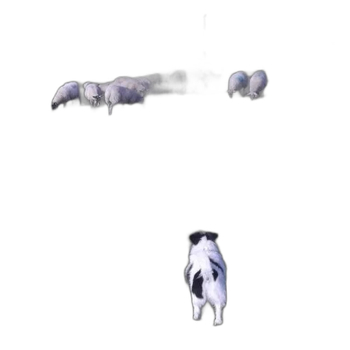 animal, creature, weapon, robot transparent PNG cut-out