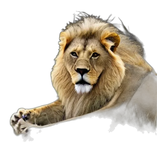 animal, staff, crown, jewelry transparent PNG cut-out