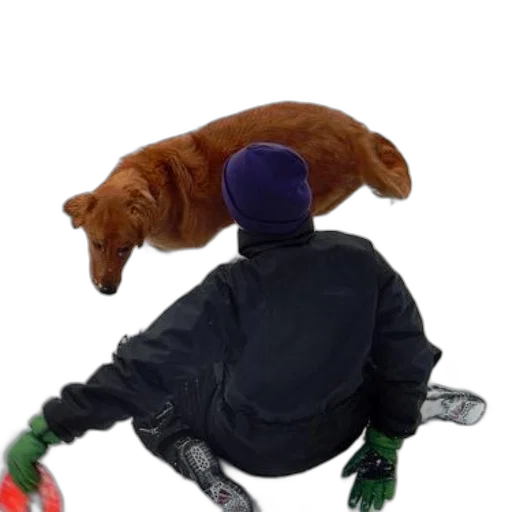 animal, hat, creature, staff transparent PNG cut-out