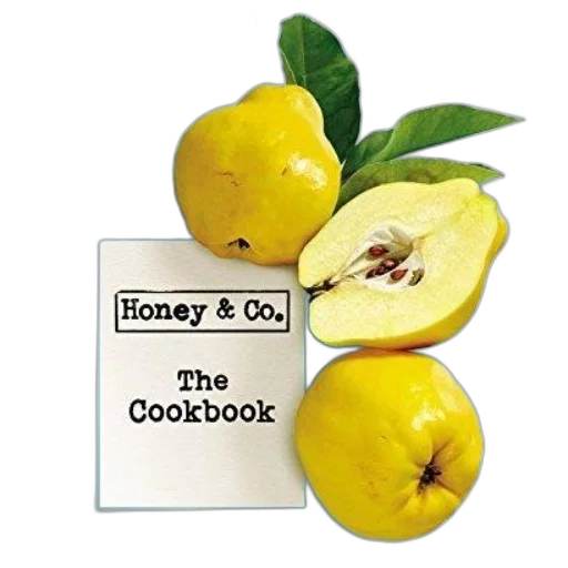 food, image, cover, cookbook transparent PNG cut-out