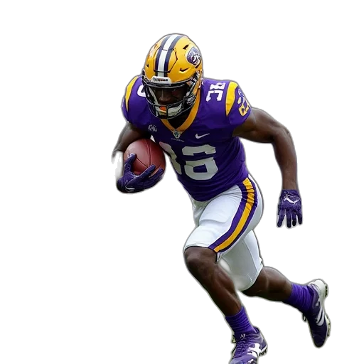 lsu, receiver, michael, mcdermotty transparent PNG cut-out
