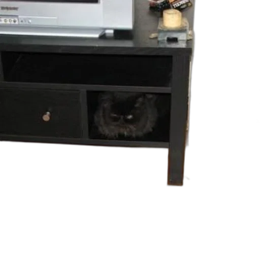 furniture, staff, creature, animal transparent PNG cut-out