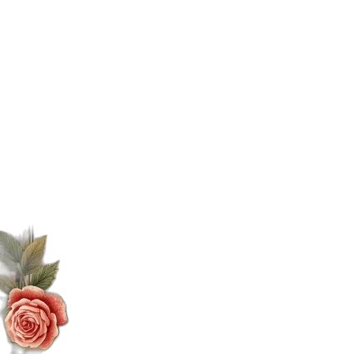 flower, crown, weapon, jewelry transparent PNG cut-out