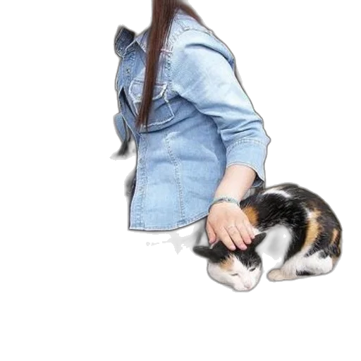 animal, jacket, creature, staff transparent PNG cut-out