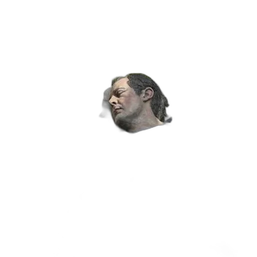 face, hair, mask, crown transparent PNG cut-out
