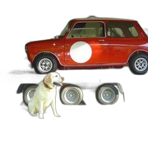car, animal, 3d render, photorealistic transparent PNG cut-out