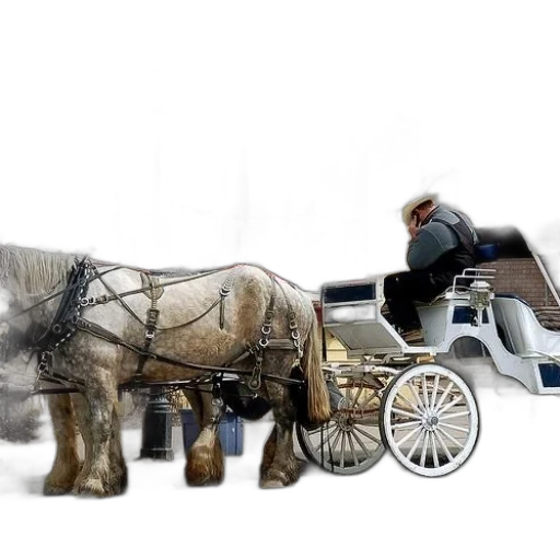 car, animal, photorealistic, concept art transparent PNG cut-out