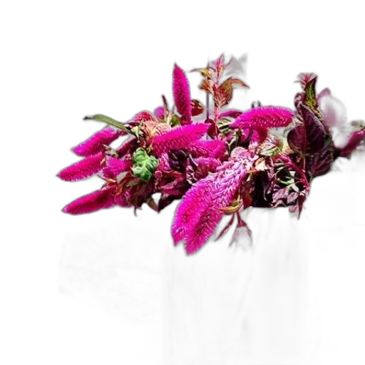 flower, crown, jewelry, staff transparent PNG cut-out