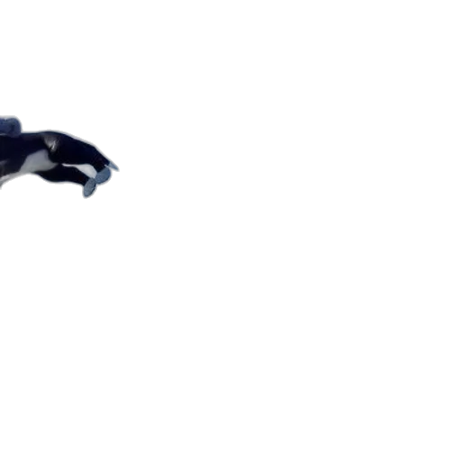 animal, creature, mask, dragon transparent PNG cut-out