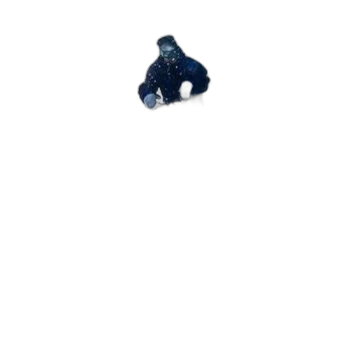 creature, robot, animal, jacket transparent PNG cut-out