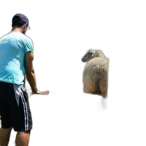 animal, creature, hat, weapon transparent PNG cut-out