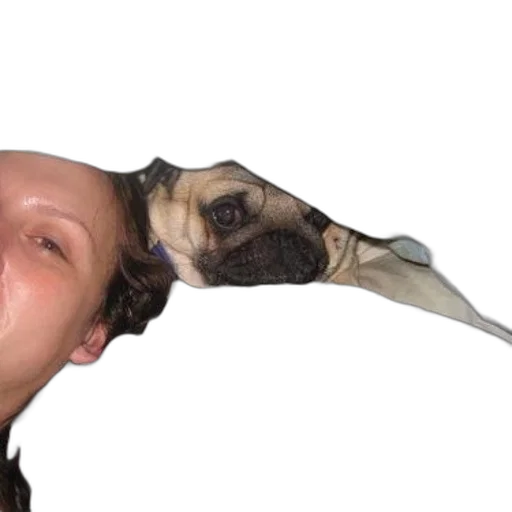 mask, animal, face, staff transparent PNG cut-out