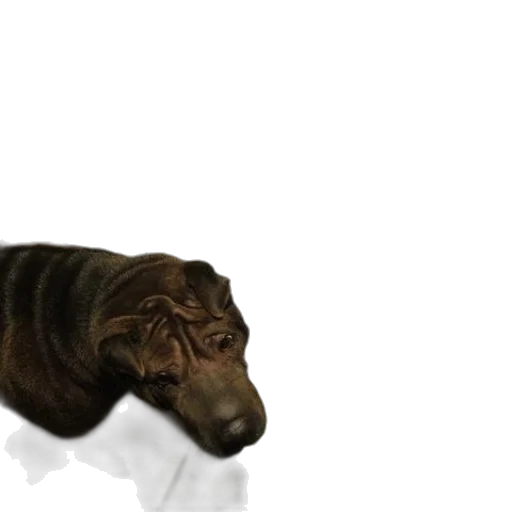 animal, creature, dragon, staff transparent PNG cut-out