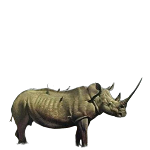 animal, creature, dragon, weapon transparent PNG cut-out