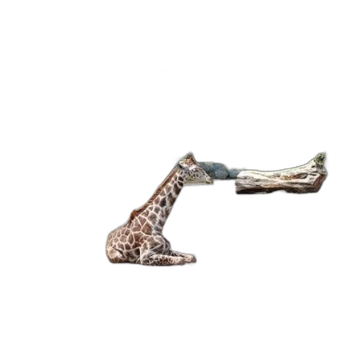 shoes, jewelry, sword, weapon transparent PNG cut-out