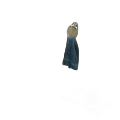 jacket, dress, shoes, hat transparent PNG cut-out