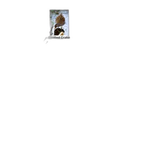 animal, staff, creature, robot transparent PNG cut-out