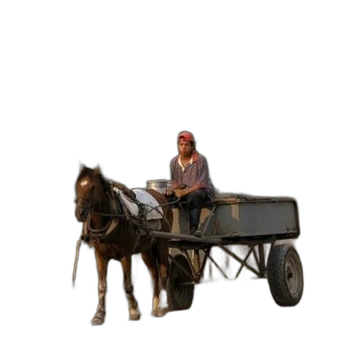 car, animal, hat, furniture transparent PNG cut-out