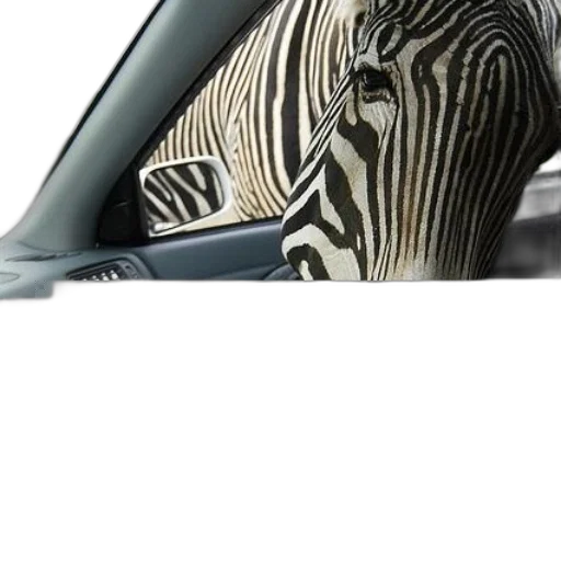 car, mask, animal, hair transparent PNG cut-out