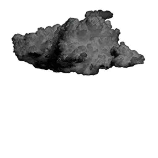crown, tree, face, hair transparent PNG cut-out
